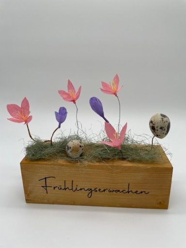 Frühblüher auf Holz